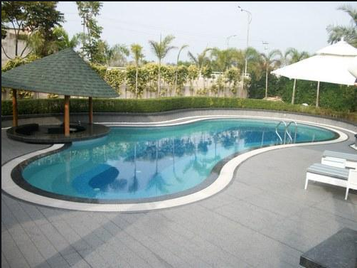 Everything You Need To Know About Pool companies