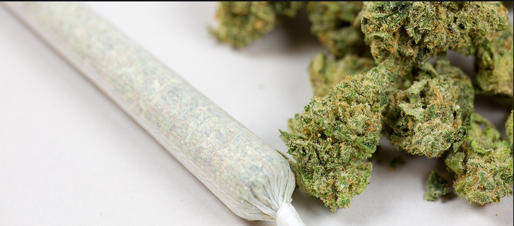 Now People Can Buy Weed Online Easily
