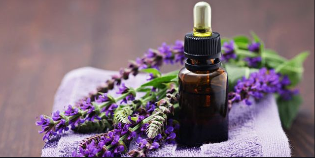 Choose The Best essential oils