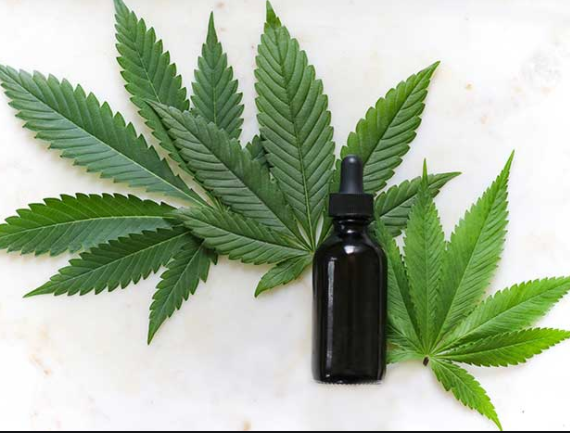 Online Concept Of CBD oil Ontario