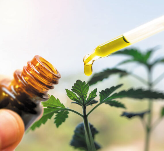 Buy Best CBD Oil France