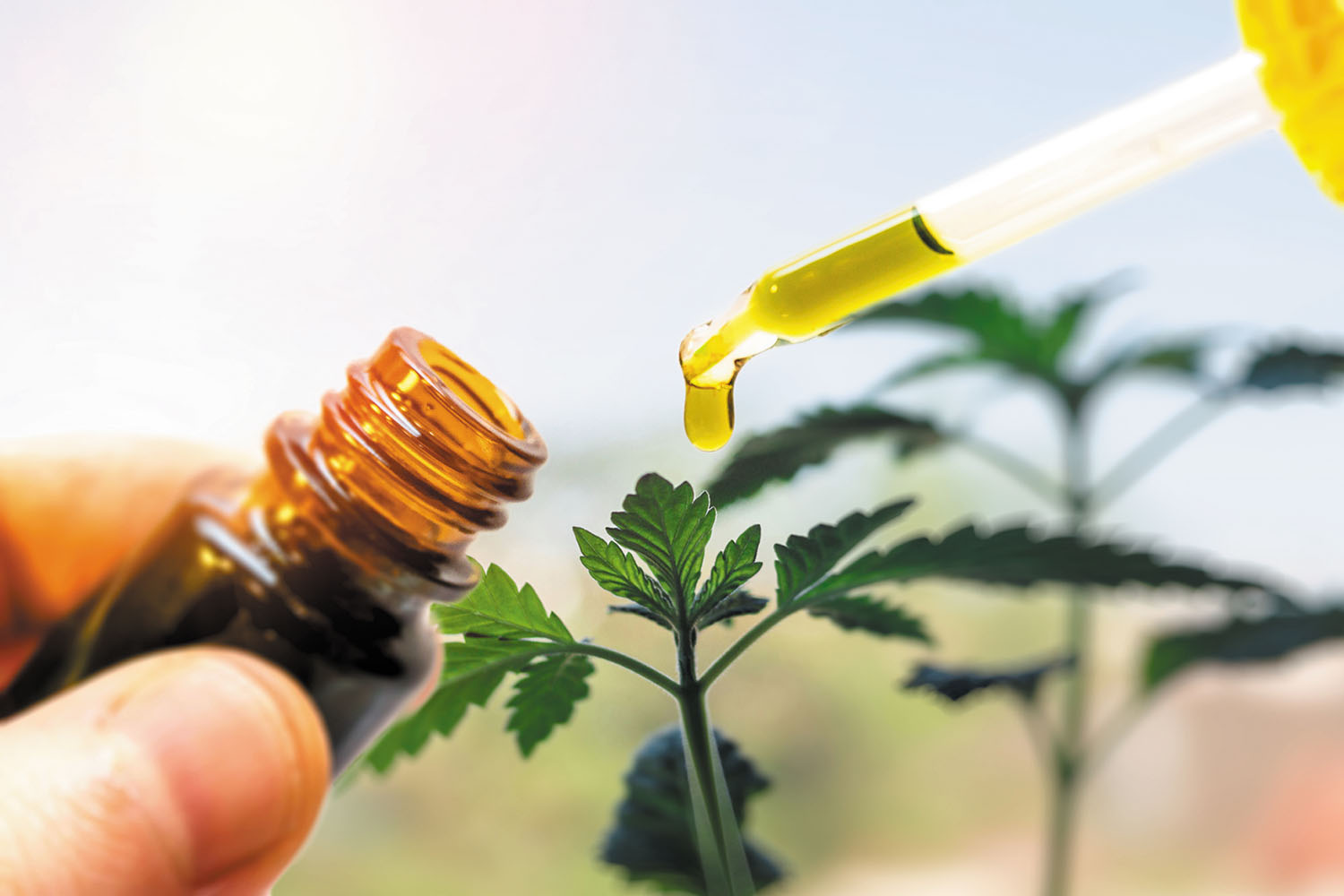 Buy Best CBD Oil France