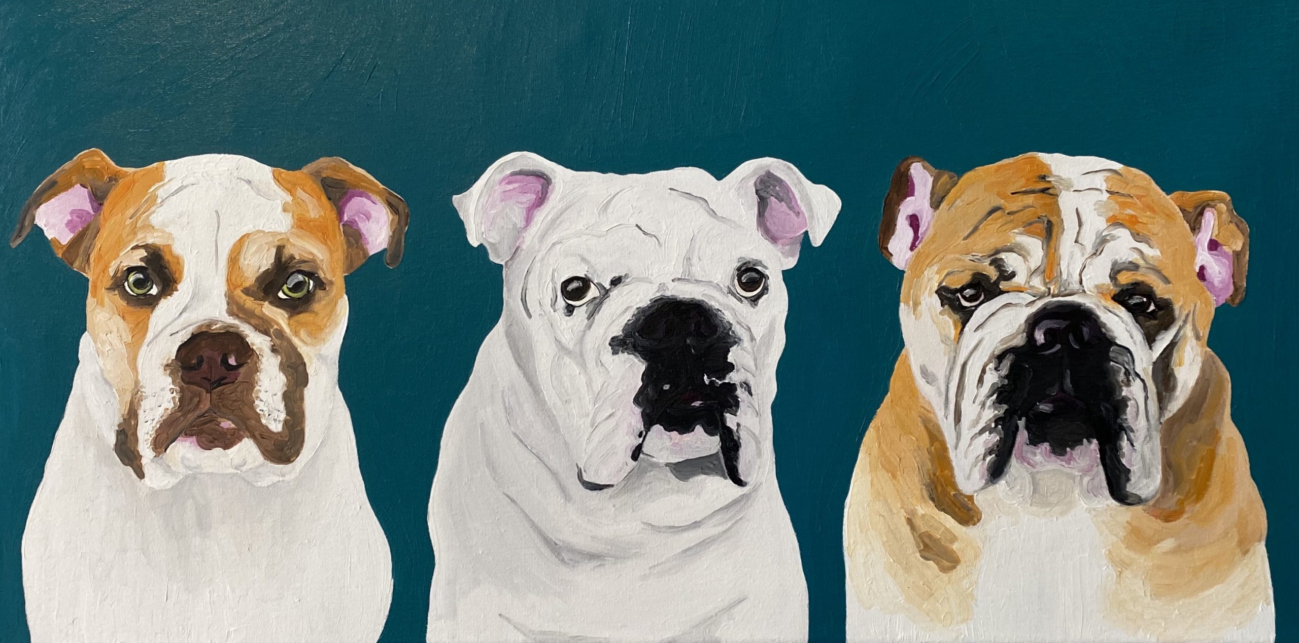 Let the Custom pet Portraits entertain your pet