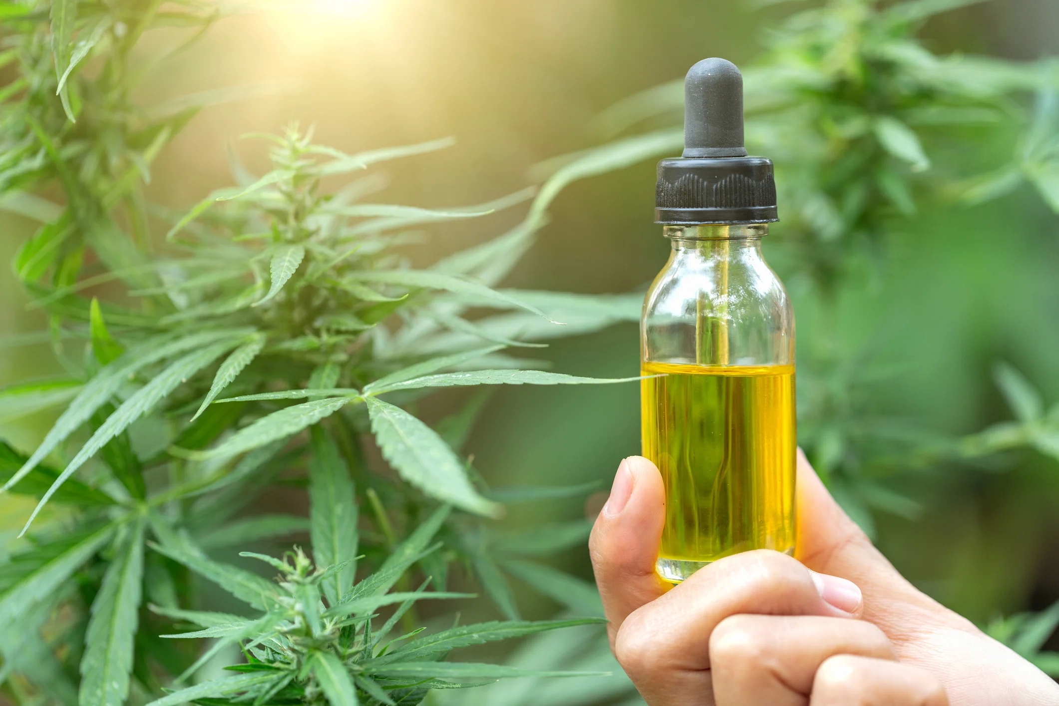 Get Out Of Depression With CBD Oil Canada