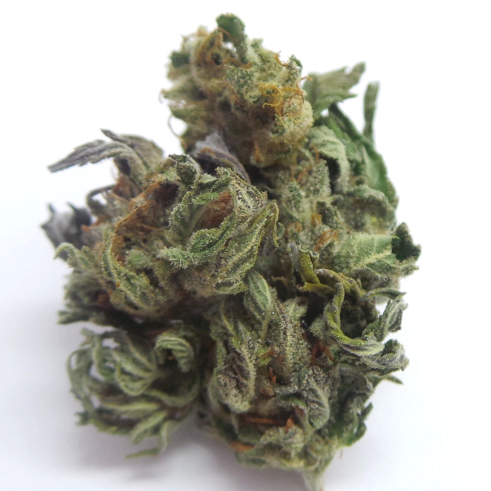 Learn about the most important advantages of buying cannabis in an online dispensary Canada