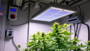 Optimizing Crop Yield with Smart Dehumidification Technologies