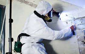 Asbestos Testing – Fast Turnaround Laboratory Testing Services