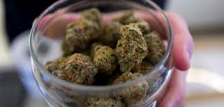 Evaluating Quality and Safety in Canadian Online Dispensaries